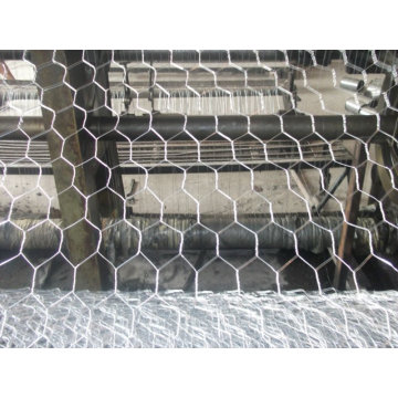 High quality hot-dipped Hexagonal wire mesh